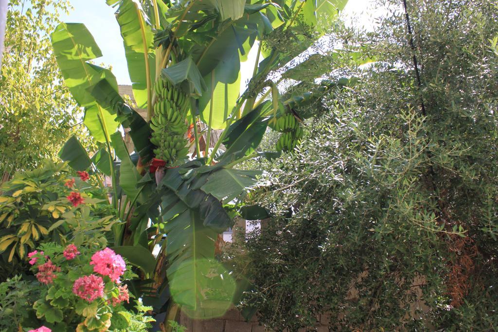 Villa Mucho Sarandë Buitenkant foto